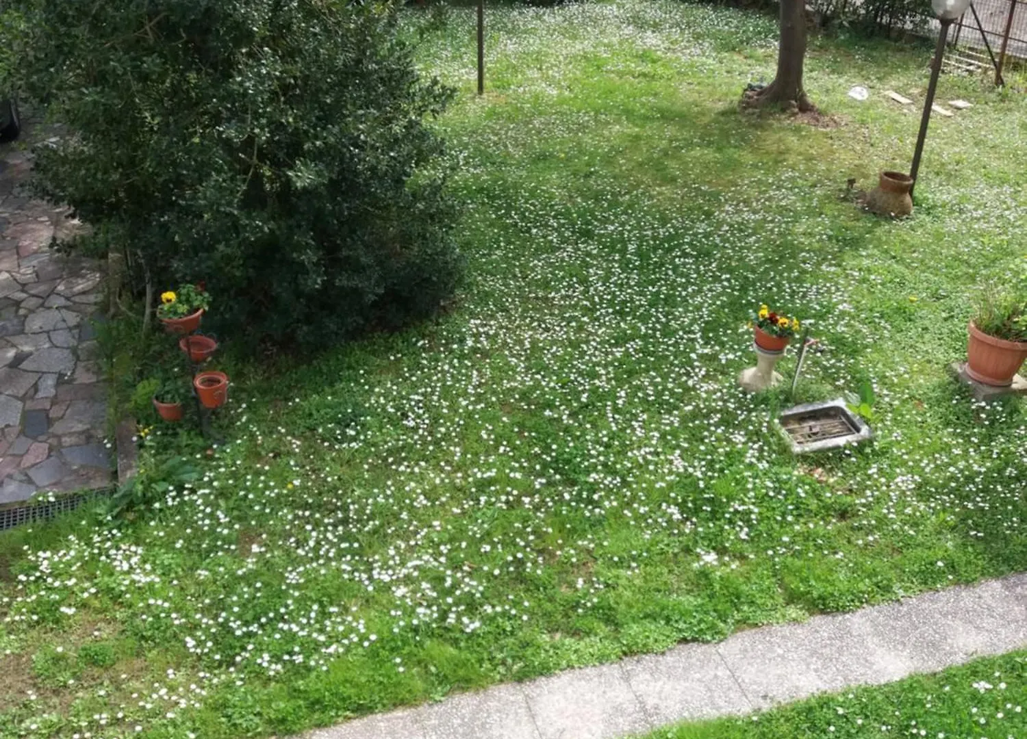 Appartement La Casa Del Tiglio à Sarzana
